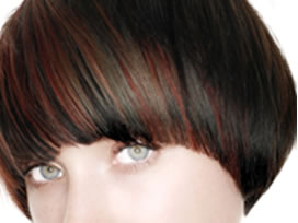 Hairstyle model